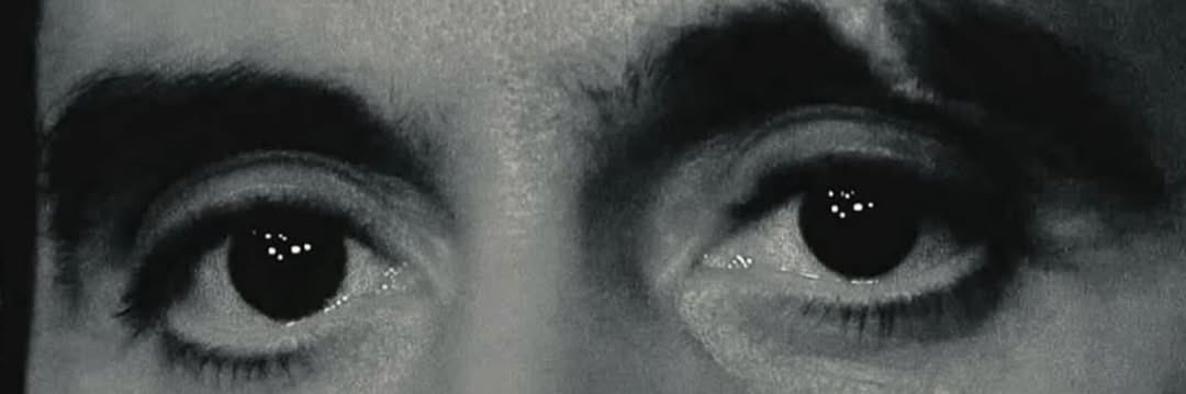 Shaun Sloan banner
