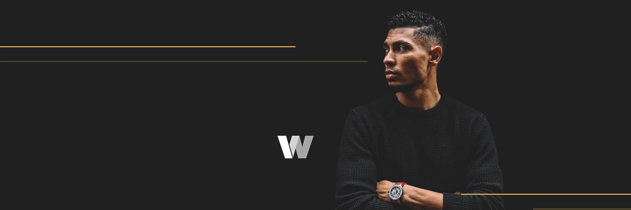 Wayde van Niekerk banner