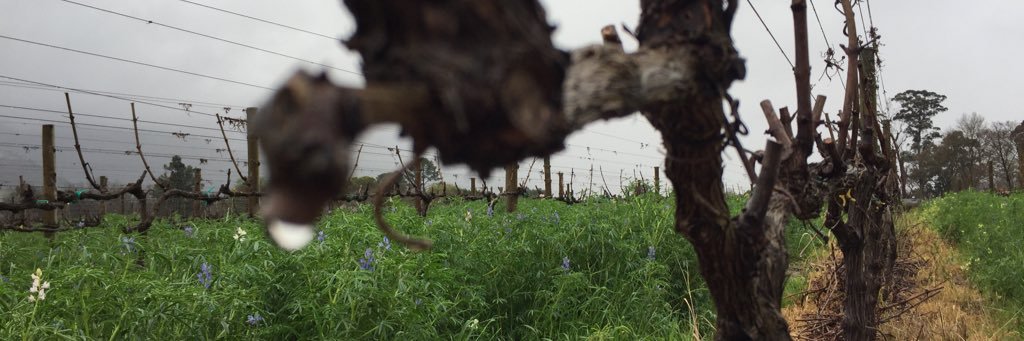 J9_wine's profile banner image