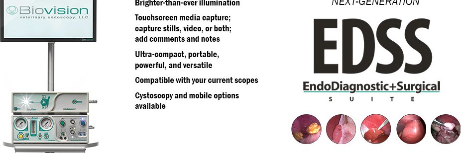 Biovision Veterinary Endoscopy (@BioVisionvet) / Posts / X