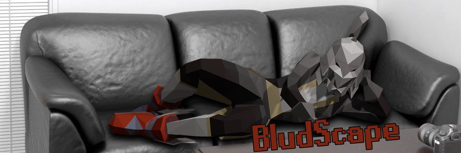 BludScape banner