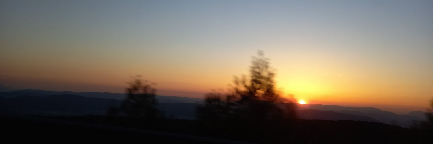 _Lalenur_'s profile banner image