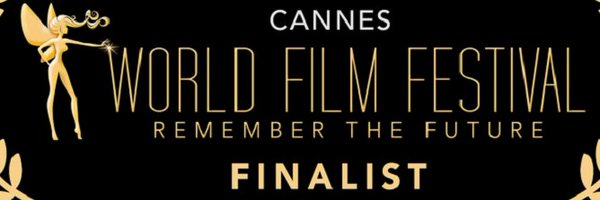 tylor_tao Profile Banner