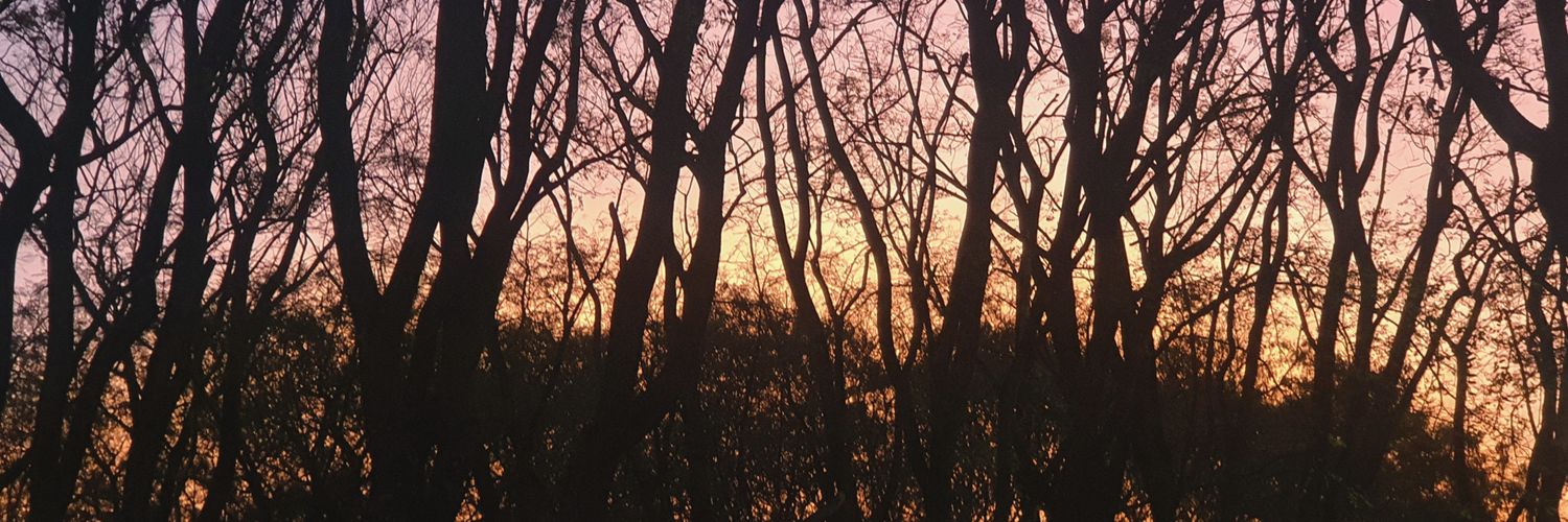 trankiles's profile banner image