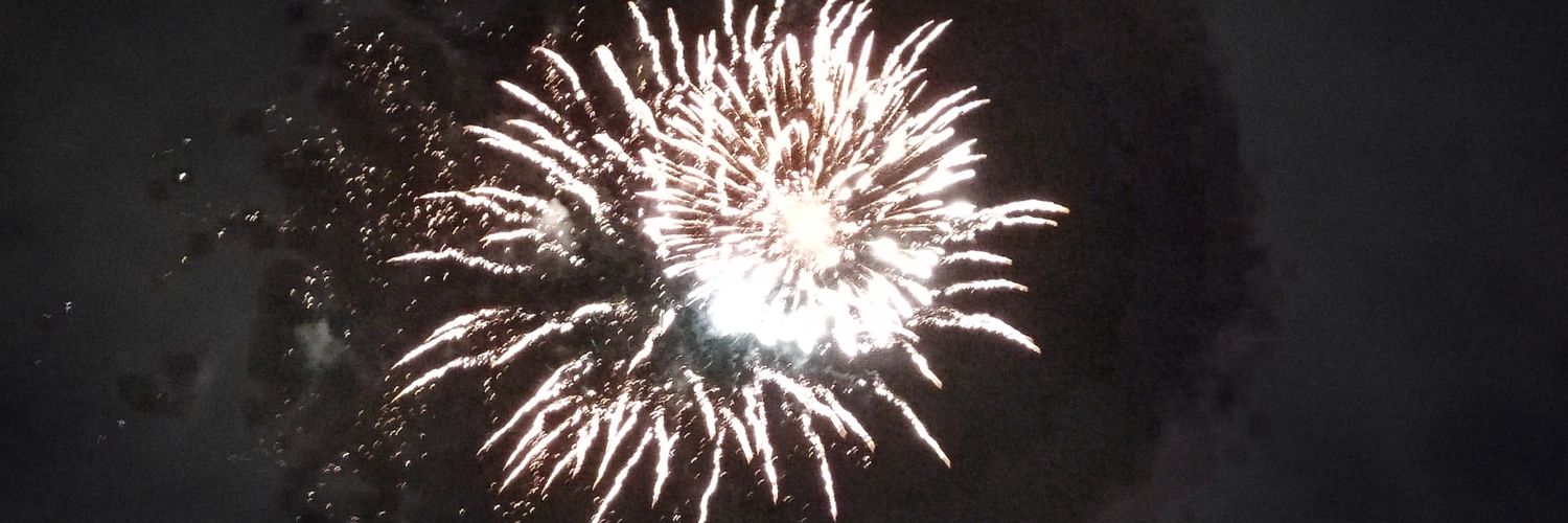 Ashley Newton banner