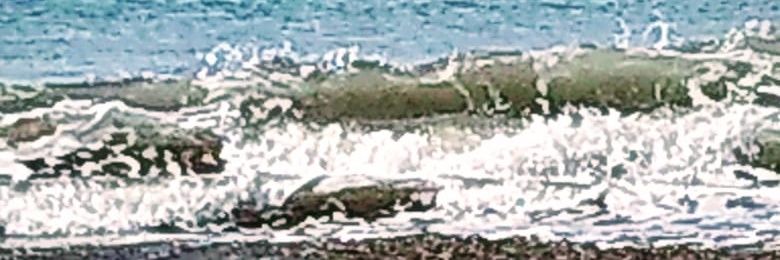 soledadcosentin's profile banner image