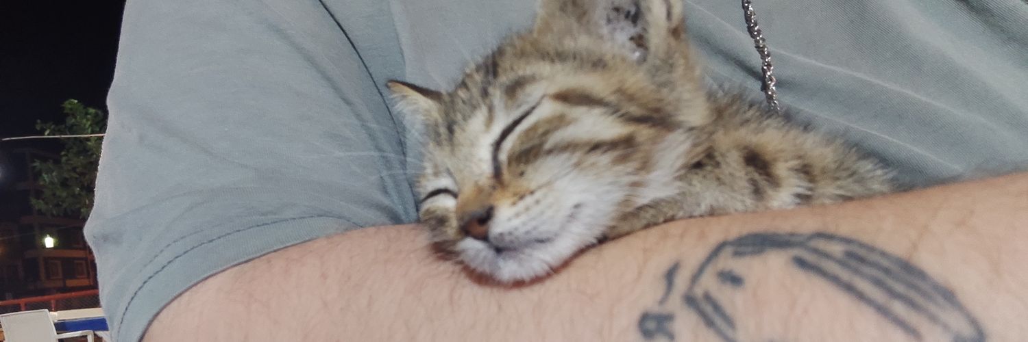 mettootry's profile banner image