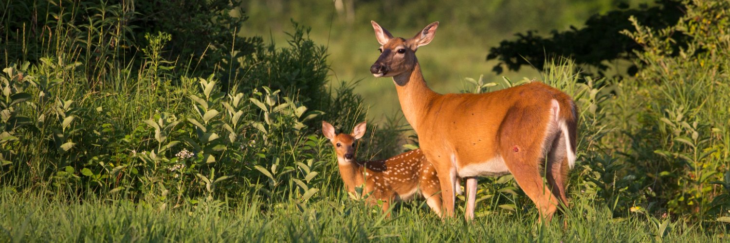 Whitetails Unlimited banner