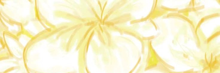 _ppianaa_'s profile banner image