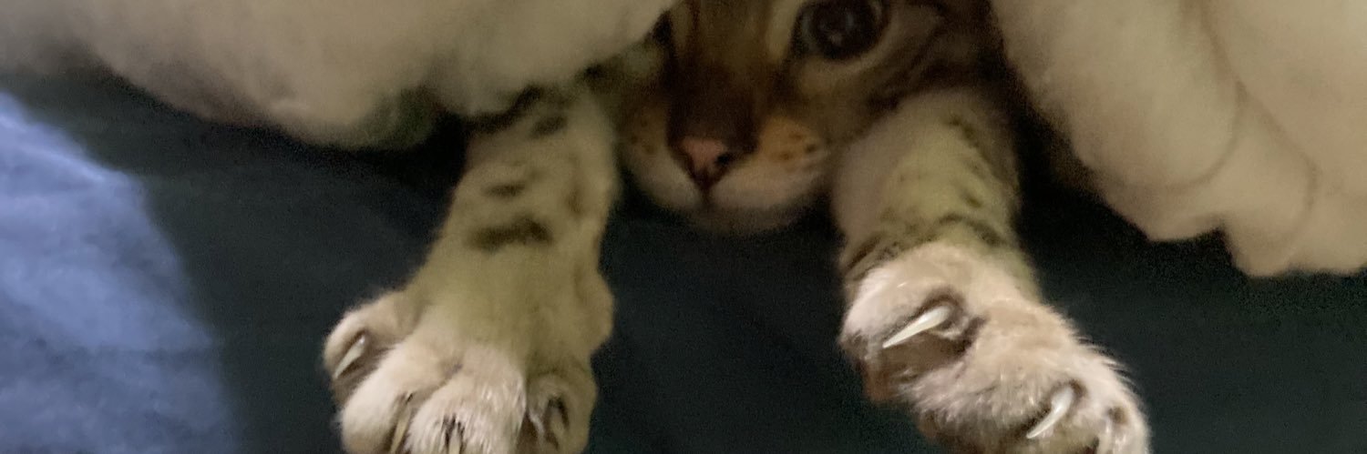 Sheena “I exist in the context” Millar banner