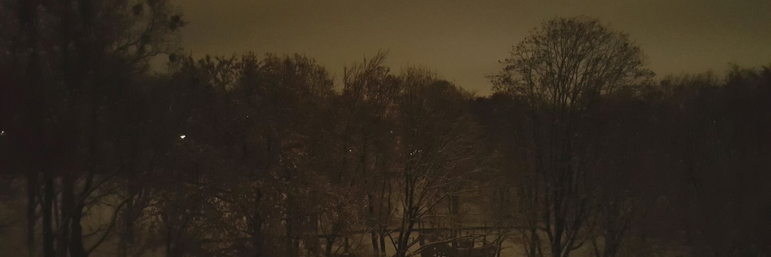Zaphray's profile banner image