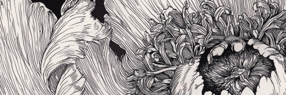 Slivereign's banner