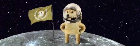 Doge1TTM's profile banner image