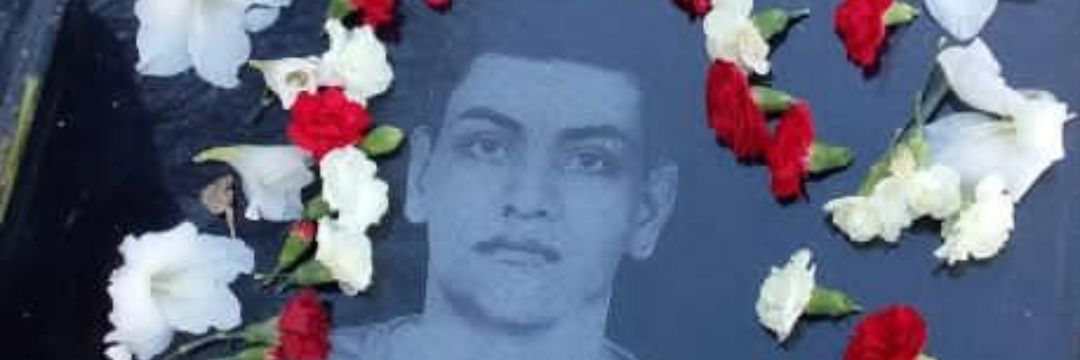 مریم گربه ی آزادی خواه's banner
