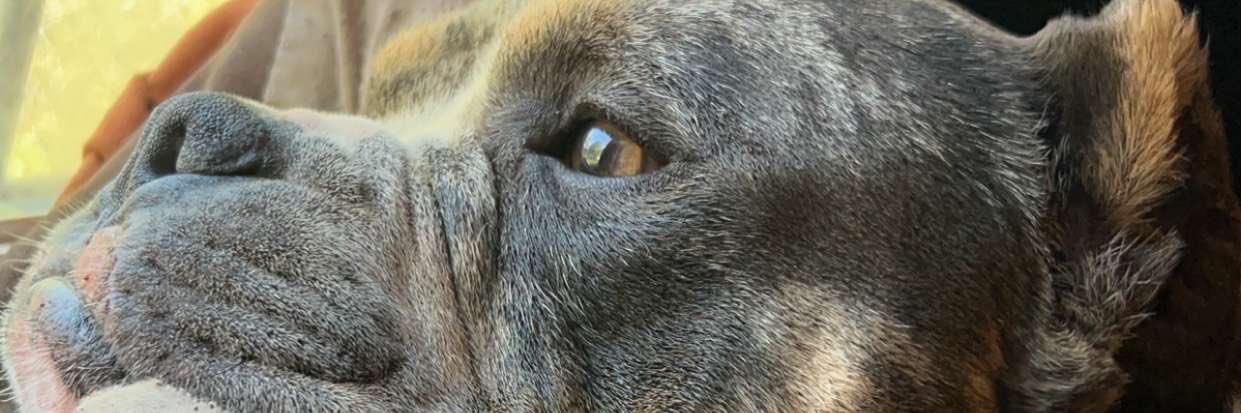 JonnyZ28_'s profile banner image