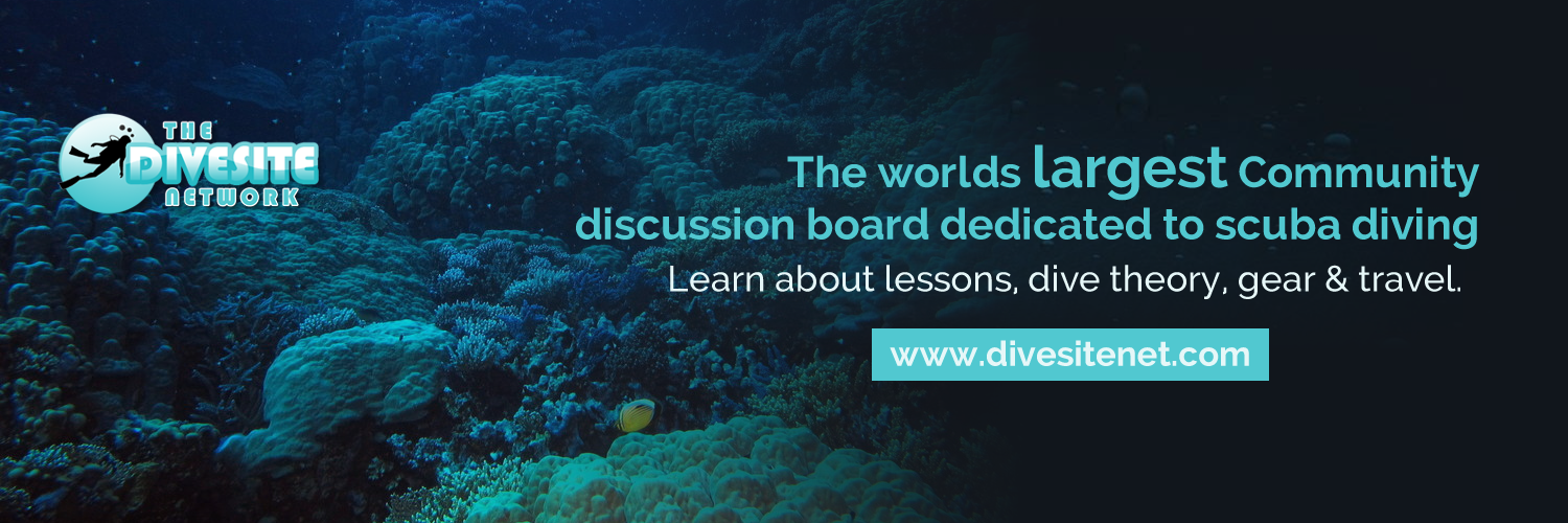 DiveSiteNet's profile banner image