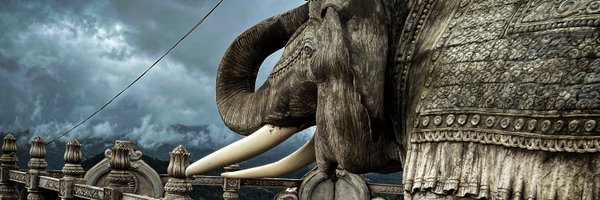 podobied Profile Banner