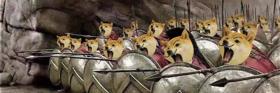 VDOGE banner