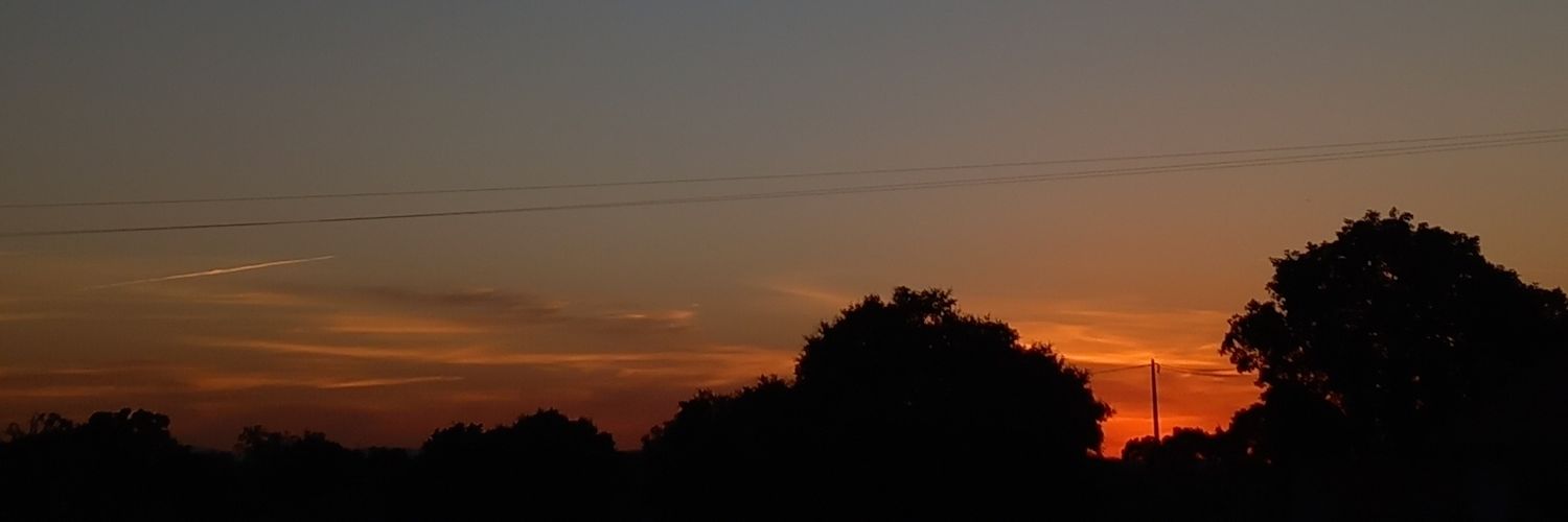 inesmp07's profile banner image