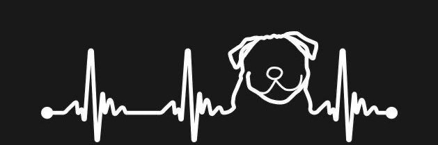 larissarmchd's profile banner image