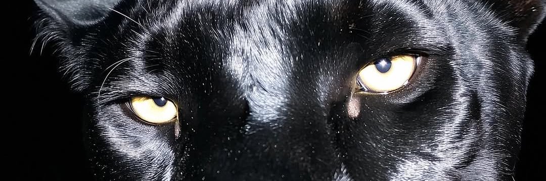 clbcnn's profile banner image