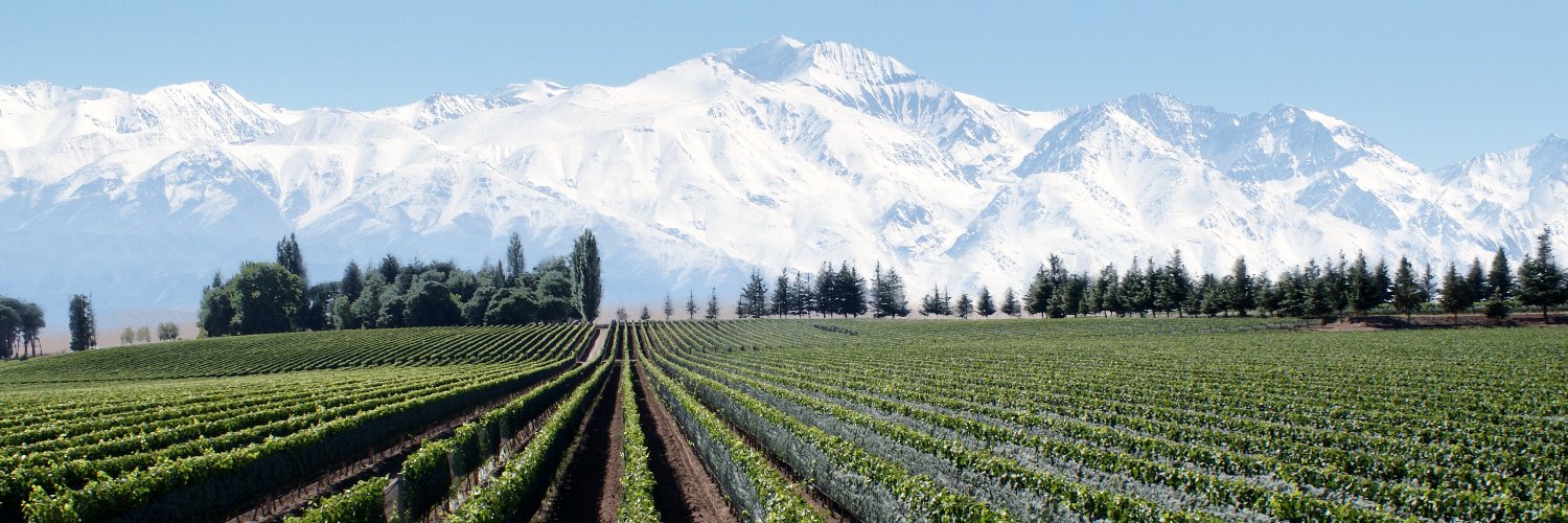 condor_wines's profile banner image