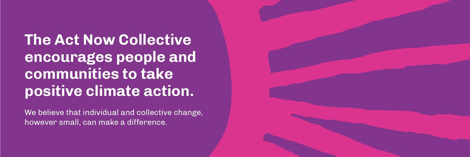 Act Now Collective (@ActNowCollectiv) / Posts / X