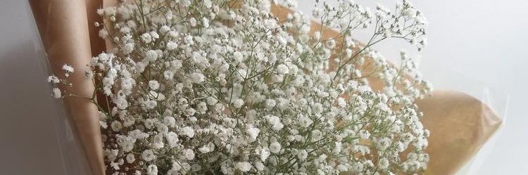 genemood_'s profile banner image