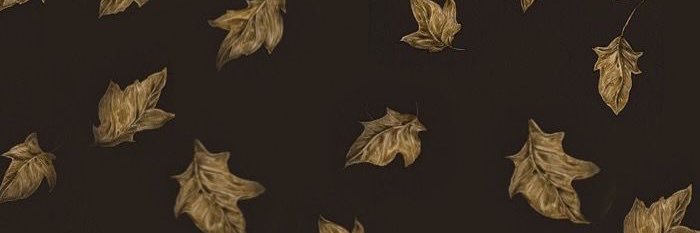 _dsierraxx's profile banner image