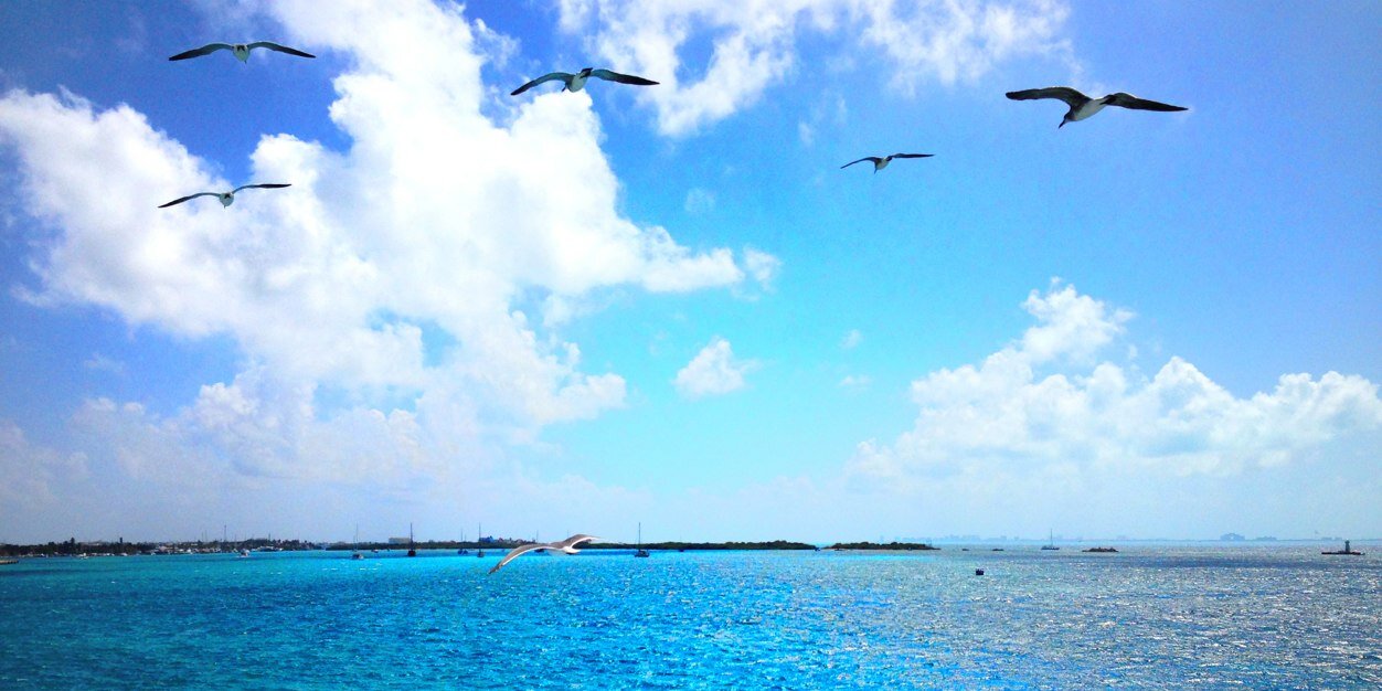 jonathan_ayyala's profile banner image