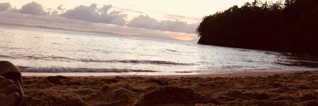 IzaGyzel's profile banner image