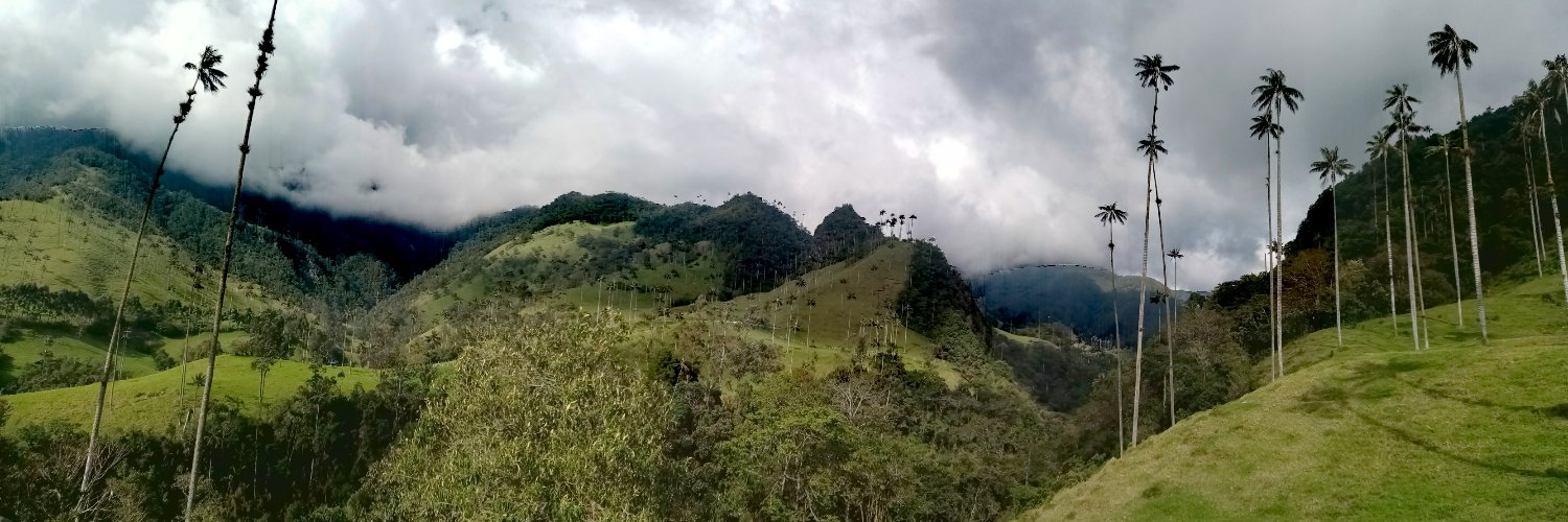 Claire Taillardat banner