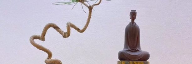 拔苦与乐 banner