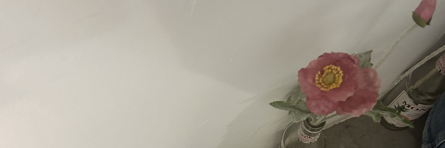 sandaysea's profile banner image