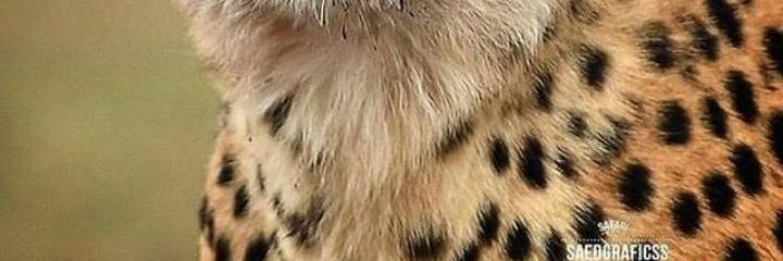 daniiraad's profile banner image