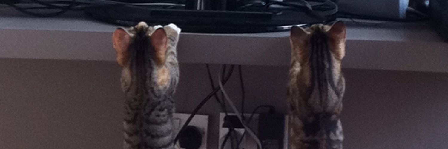 Bexi_t's profile banner image