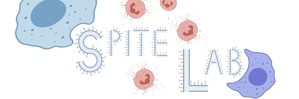 SpiteLab banner