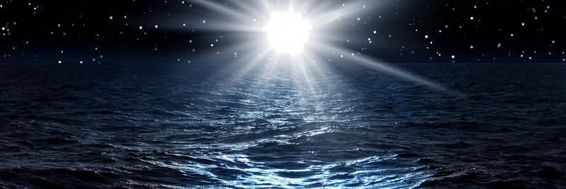 Moonlight Rose banner