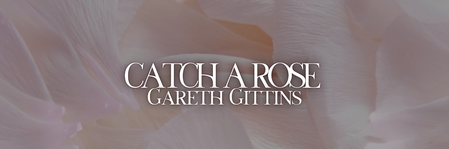 Gareth Gittins banner