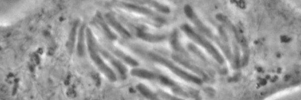 JohnFMarko Profile Banner