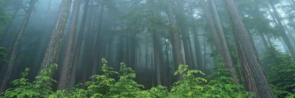 SensysMixing's profile banner image