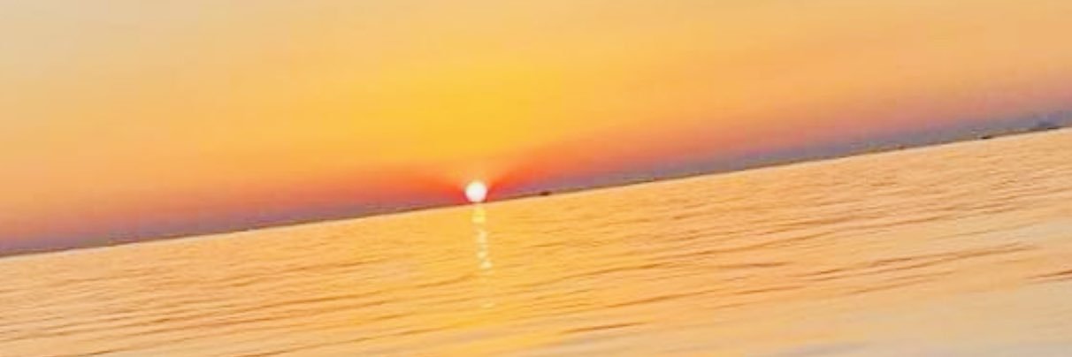Umut banner