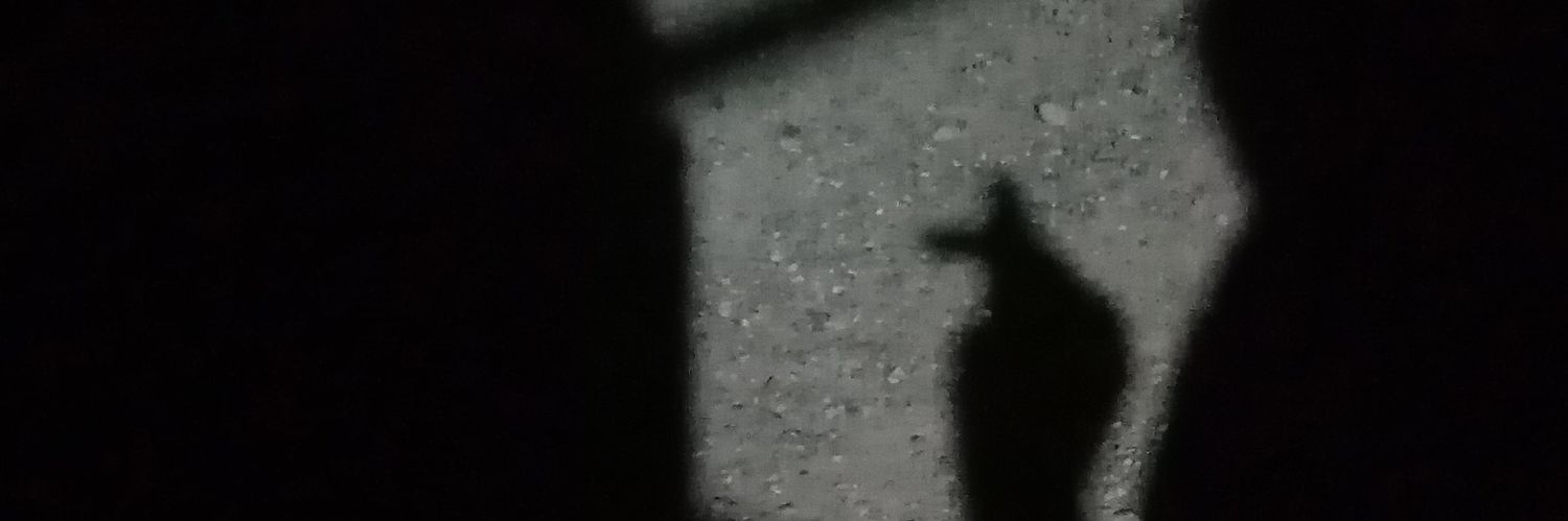 irish ☆ | $50 CUTIE banner