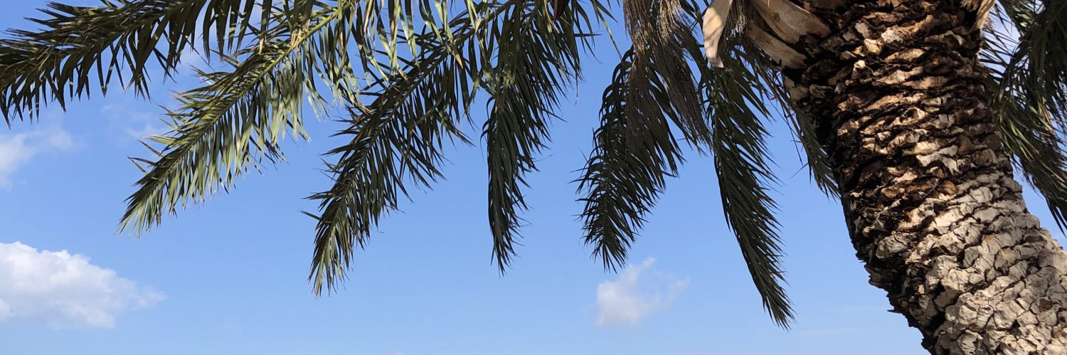 May Rosenberg banner