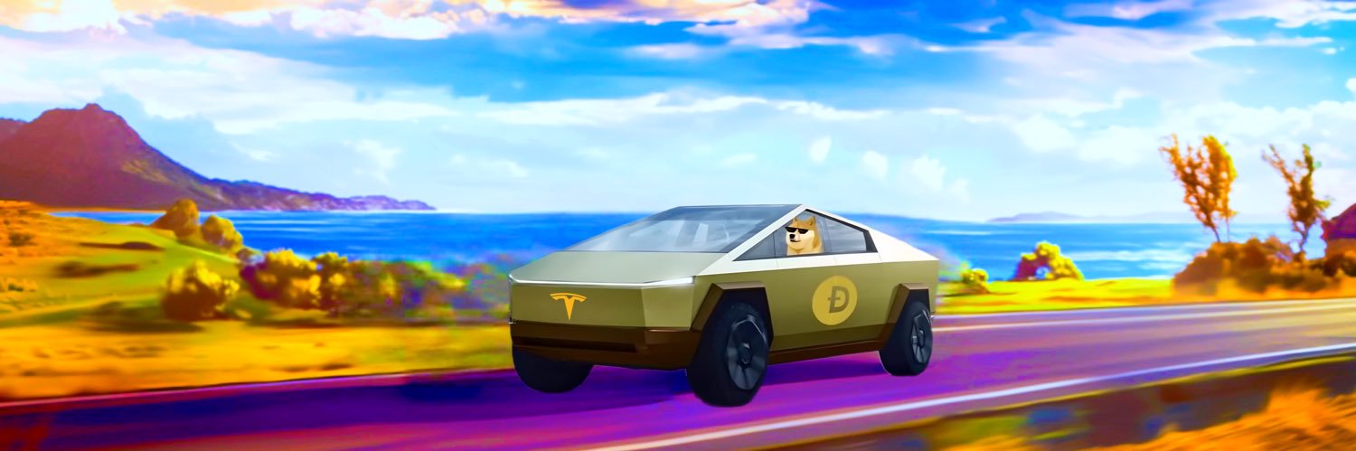 Tesla Model Ðoge banner