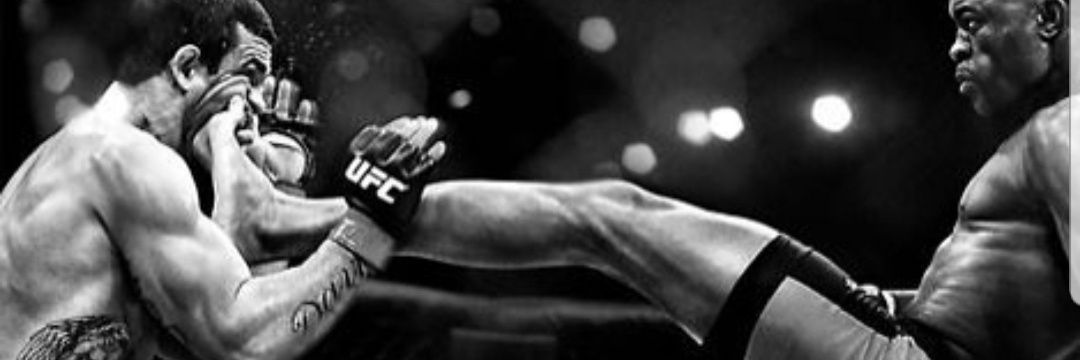 FranBallest5's profile banner image