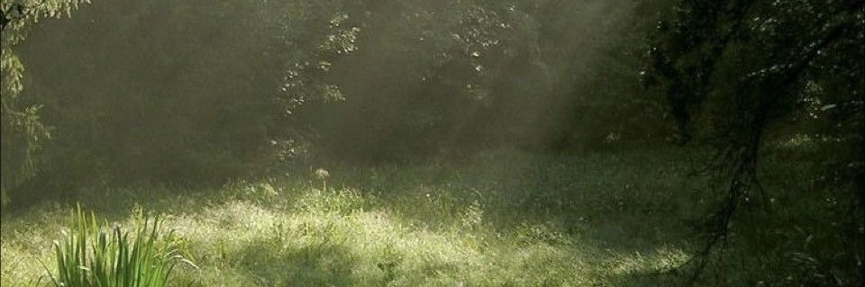 taylor 🧸 banner