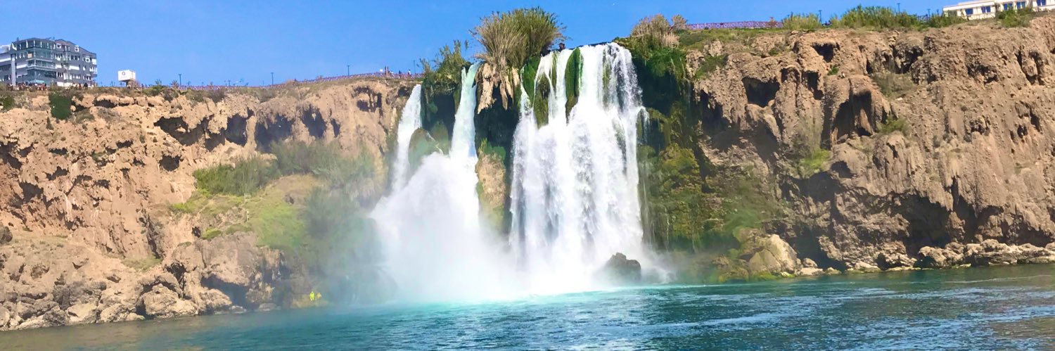 Krypto kris🦁 banner