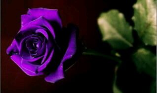night____'s profile banner image