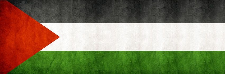 Free Palestine 🇵🇸's banner